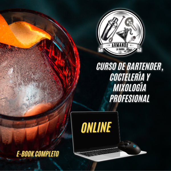 De Basico al Profesional Conviértete en Bartender